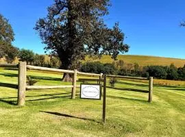 Treeferns Trout Lodge