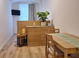 Apartment im Stadtzentrum