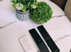 Cambridge cozy 2BR condo