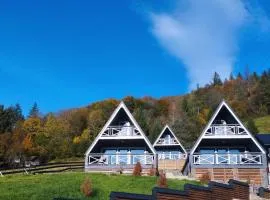 ТК Карпатські шале