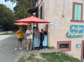 Le logis Pellaborie，位于Montech的酒店