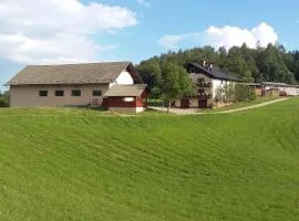 Apartment Vrtacnik