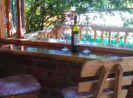 Bosque Azul - Carpintero