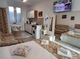 Studio Ultracentral OGLINDA