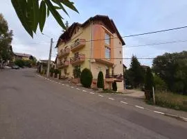 Pensiunea Valea Alba