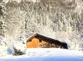 Petit chalet en bois avec mezzanine en montagne