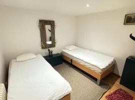 Vittsjö charmiga hus