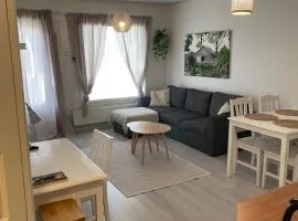 Tilava kaksio saunalla