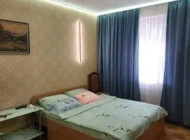 Затишна, домашня 43м в тихому зеленому місці Поруч Центральний парк Університет