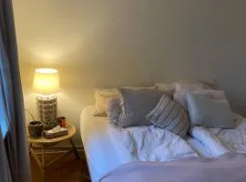 Stort værelse udlejes i herskabslejlighed midt i Odense by