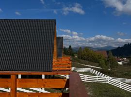Cozy A-Frame Cabins in Bucovina，位于Şaru Dornei的木屋