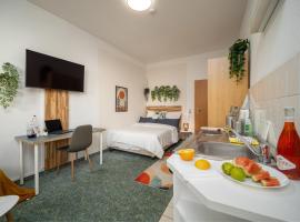 Ruhiges Studio in Altstadt mit Gartenblick & Sofa，位于弗赖贝格的酒店