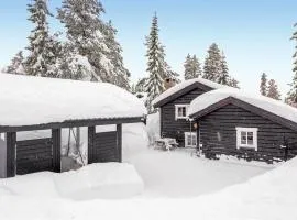 Amazing Home In Trysil With House A Mountain View