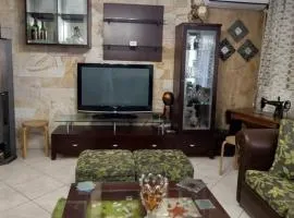 Comfortable and Elegant apartment FoFi