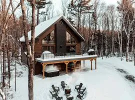 Spa and Billard - Chalet Le Silverson