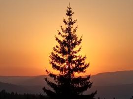 Harmony Retreat，位于Dealu Negru的酒店