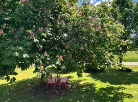 FeWo Olivia，位于Burghaun的酒店