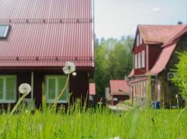 Voore Puhkekeskus，位于Voore的带泳池的酒店