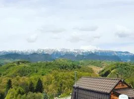 Cabanuta din munti