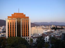 Hotel Alejandro I - Affiliated by Meliá，位于萨尔塔的酒店