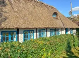 3 Bedroom Stunning Home In Søllested