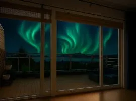 Arctic Homestay with Northern light view room
