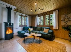 The Alpine Nest on the Sunny Slope with Hot Tub，位于阿克斯普的酒店