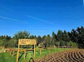 Zakątek u Poety Dąbrówka