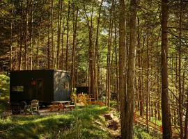 Postcard Cabins Western Catskills, Outdoor Collection by Marriott Bonvoy，位于Roscoe的酒店
