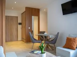 Depa Beara 107 nuevo moderno