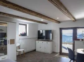 Mountain Vibrant and Timeless Apartment with Sauna - Studio Apartment with Terrace