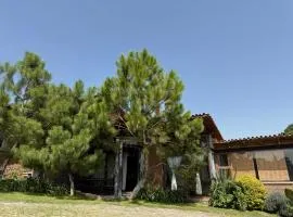 Cabaña Ciervo Tapalpa