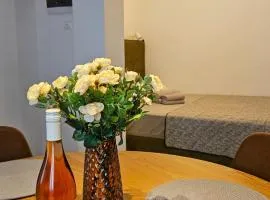 Sunshore Center apartment #2