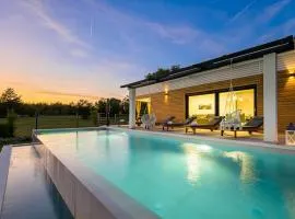 Villa Japlenica by Istrialux