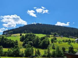 Ferienwohnung TannenZauber，位于拜尔斯布龙的酒店