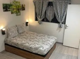 Silver Stuidio ARENA , Stade Groupama , Eurexpo