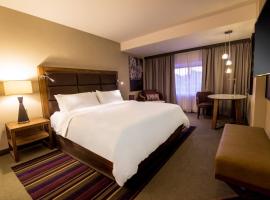 埃莫西美洲嘉年华酒店，位于埃莫西约的酒店