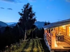 Cabana doi mesteceni