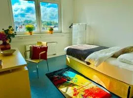 Donau-Iller Vermietung 24 GmbH