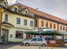 Hotel U Koníčka，位于达奇采的酒店