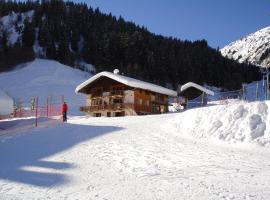 Les Myosotis，位于阿雷什Forclaz Ski Lift附近的酒店