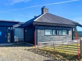 3 Bedroom Cozy Home In Sjusjøen