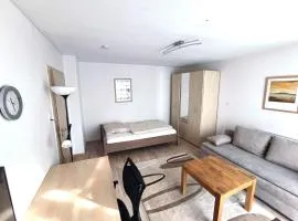 Bahnhofs-und Zentrumsnahe schöne 2-Zimmer Wohnung