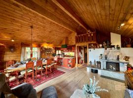 Ski in-out cabin Trysil sauna, fireplace and views，位于特吕西尔的木屋