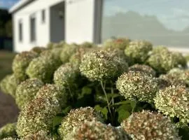 Guesthouse Eekhoorn 16