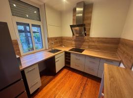 Diezer Apartment，位于迪茨的酒店