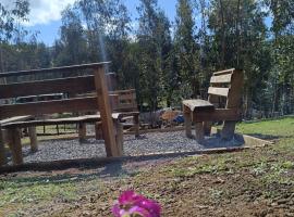 Hotel Estancia Don Domingo，位于库里科的酒店