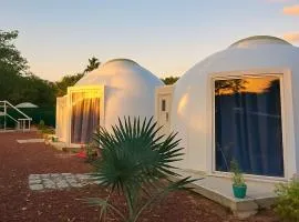 Iglú Sparrow vista al cielo