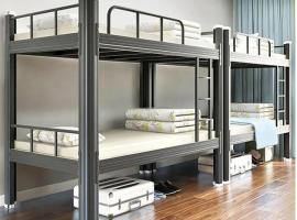 SF Hostel，位于美因河畔法兰克福的青旅