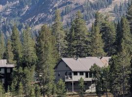 Kirkwood On Meadow 3br 1 ba，位于柯克伍德的酒店